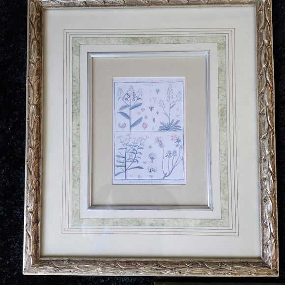 3 vintage Botanical framed prints - Picture 5 of 12